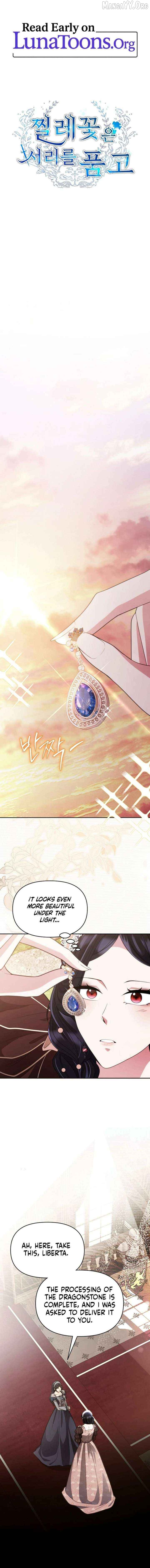 The Wild Rose Embraces the Frost Chapter 29 - page 1