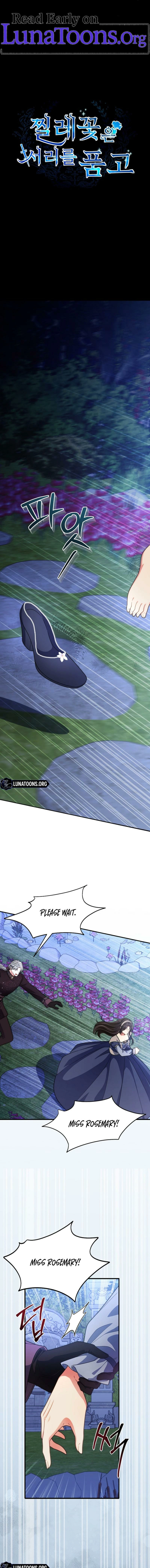 The Wild Rose Embraces the Frost Chapter 30 - page 1