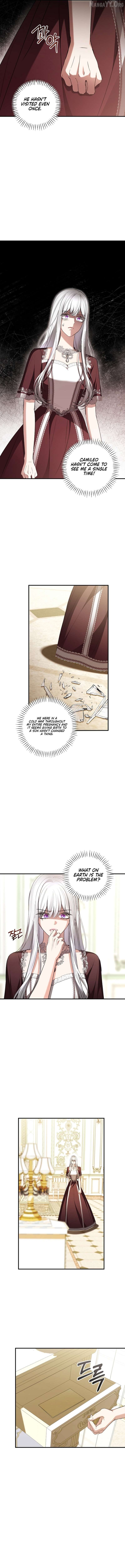 Sub-Male Lead, You Said It Was A Contract Marriage? Chapter 45 - page 3