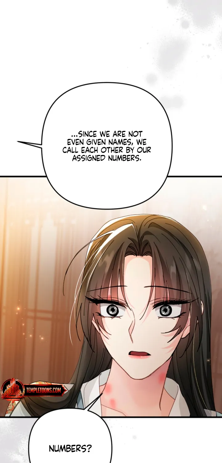 The Land of Abstinence Chapter 34 - page 8