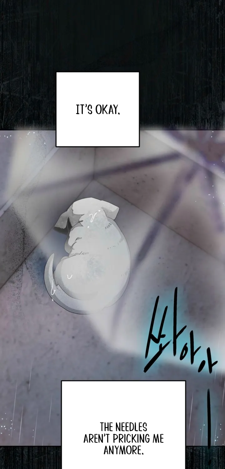 The Land of Abstinence Chapter 37 - page 34