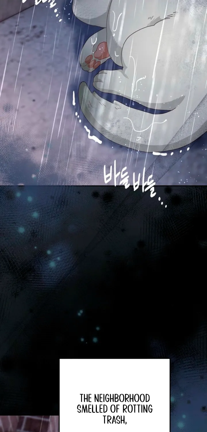 The Land of Abstinence Chapter 37 - page 5