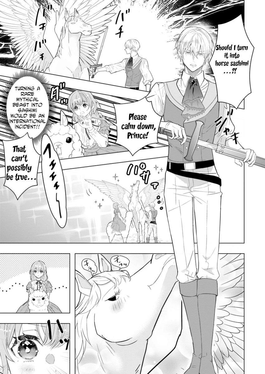 Cinderella’s Sister Became the Prince’s Bride, Living a Slow Life as the Stand-In Princess Chapter 22 - page 7