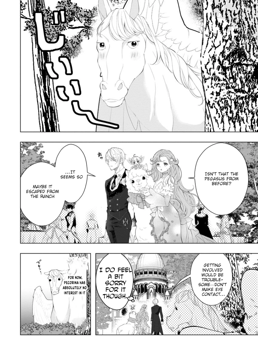 Cinderella’s Sister Became the Prince’s Bride, Living a Slow Life as the Stand-In Princess Chapter 23 - page 4