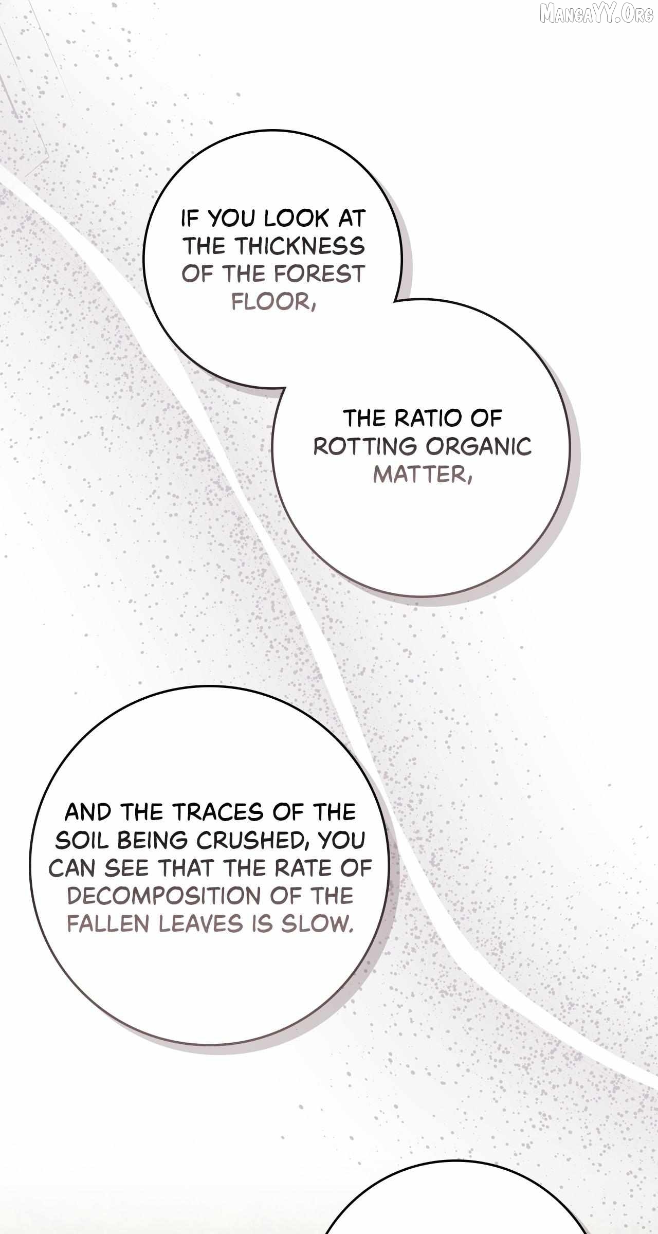 The Beloved Gardener of the World Tree Chapter 36 - page 53