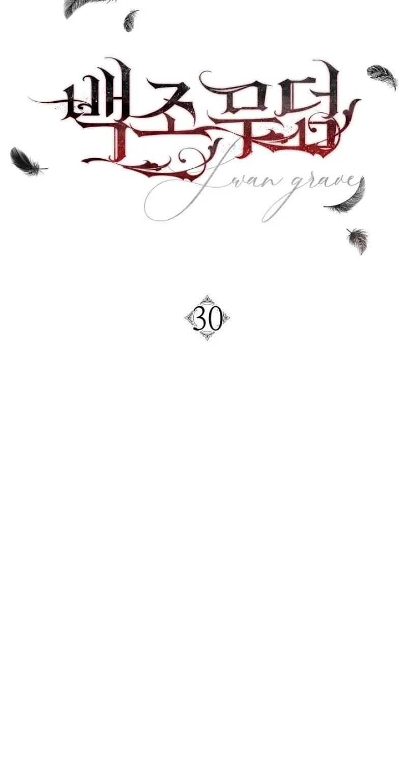 Swan’s Grave Chapter 30 - page 37