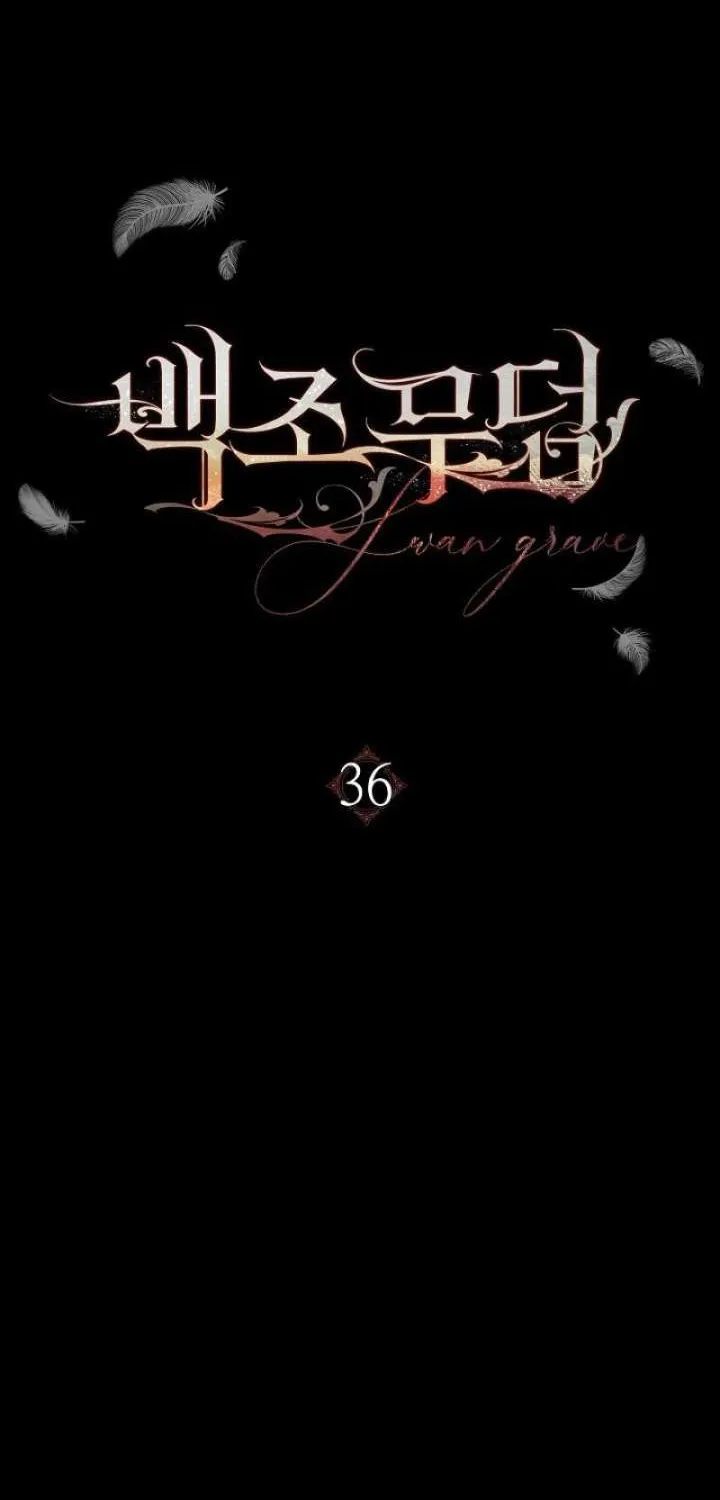 Swan’s Grave Chapter 36 - page 17