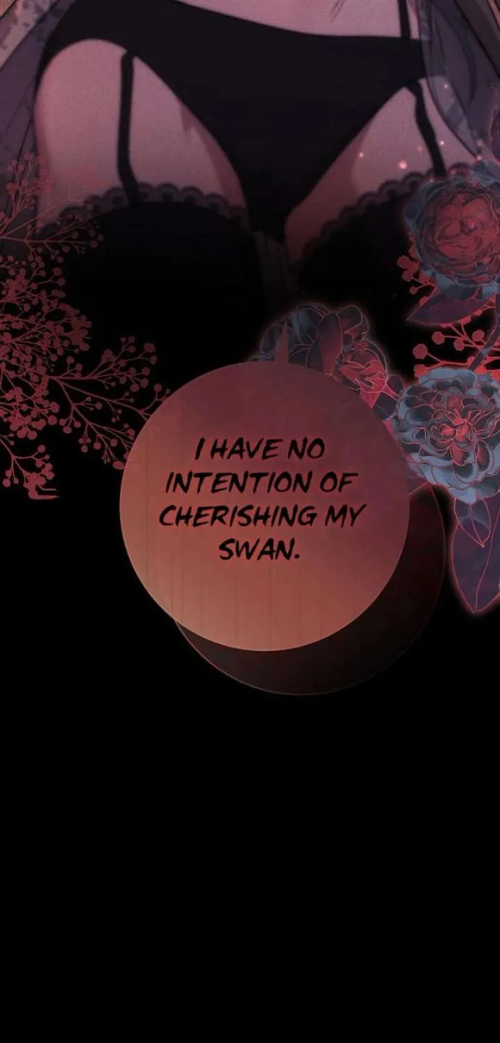 Swan’s Grave Chapter 36 - page 41