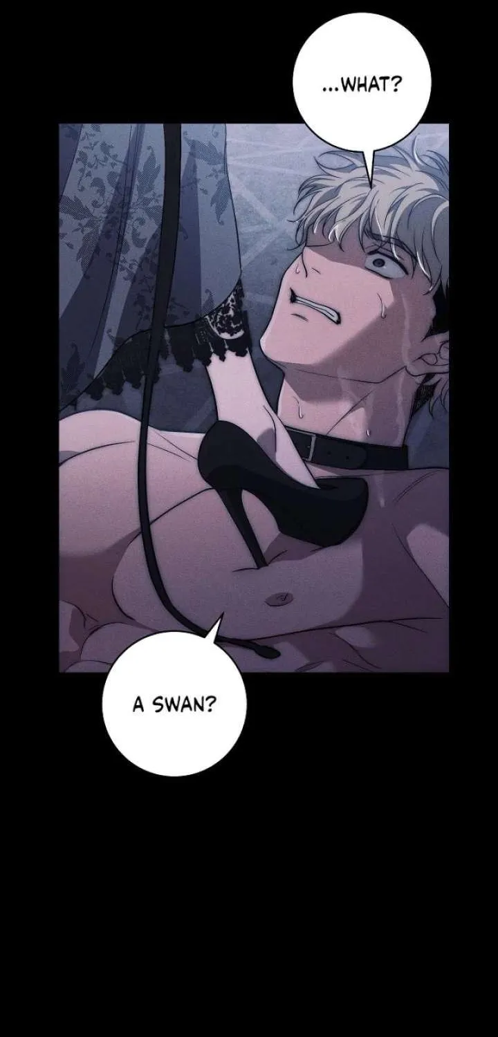 Swan’s Grave Chapter 36 - page 42