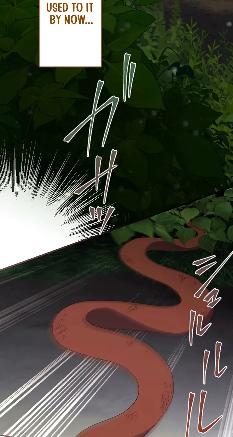 This Time, I Will Seduce My Cold-Hearted Duke Husband Chapter 40 - page 12