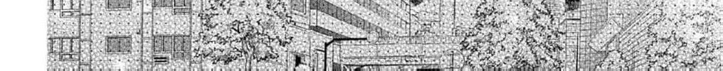 The Tiger King’s Beloved Bride Chapter 14 - page 38