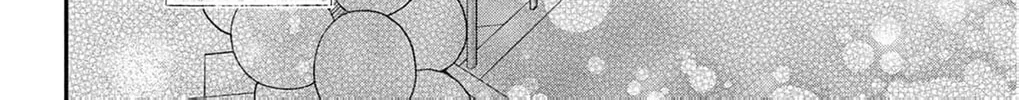 The Tiger King’s Beloved Bride Chapter 31 - page 33