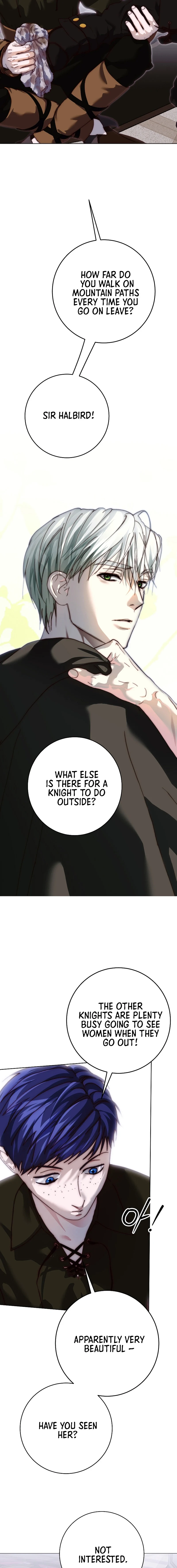 Shards of a Broken Glass Slipper Chapter 32 - page 13