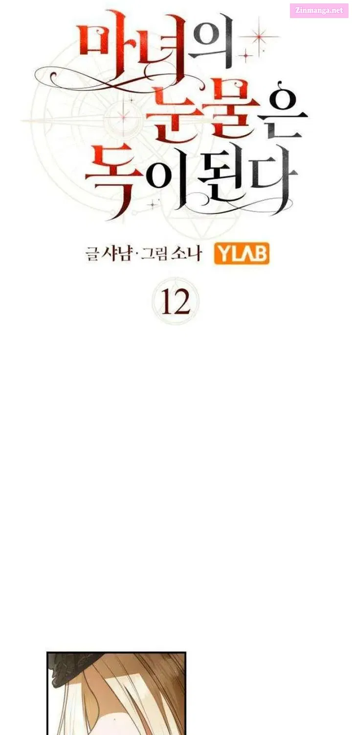 The Witch’s Tears Become Poison Chapter 12 - page 5