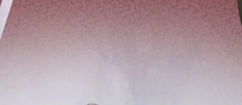 The Solitary Flower ~The Slum Girl Becomes a Princess and is Single-Mindedly Adored~ Chapter 19 - page 12