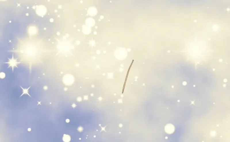 The Solitary Flower ~The Slum Girl Becomes a Princess and is Single-Mindedly Adored~ Chapter 21 - page 63