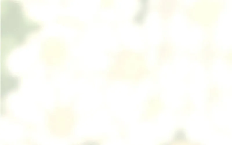 The Solitary Flower ~The Slum Girl Becomes a Princess and is Single-Mindedly Adored~ Chapter 22 - page 115