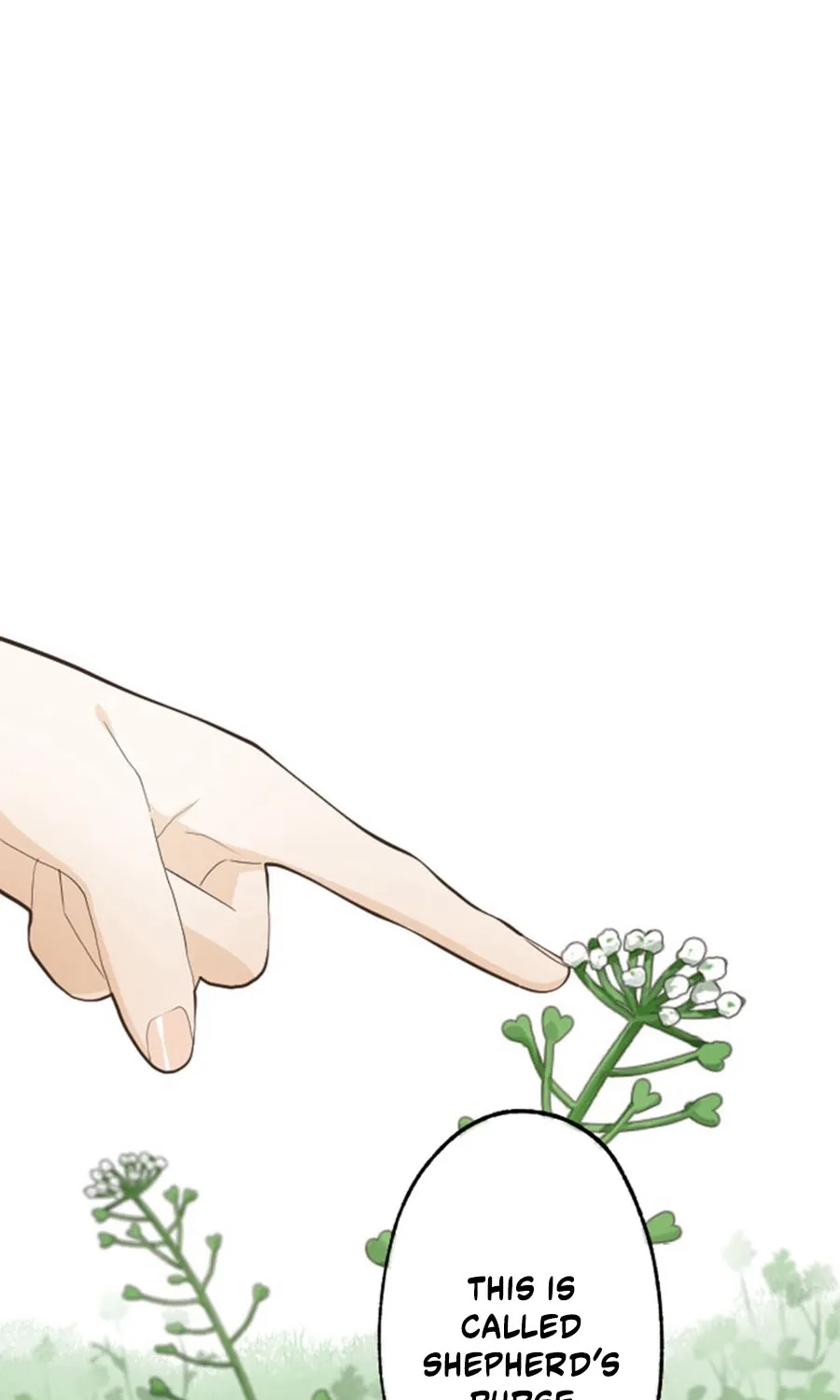 The Solitary Flower ~The Slum Girl Becomes a Princess and is Single-Mindedly Adored~ Chapter 28 - page 40