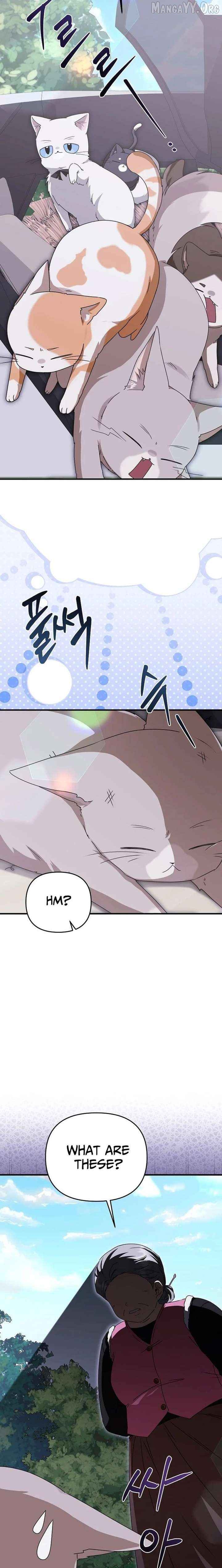 I Became the Butler of Five Men Chapter 31 - page 9