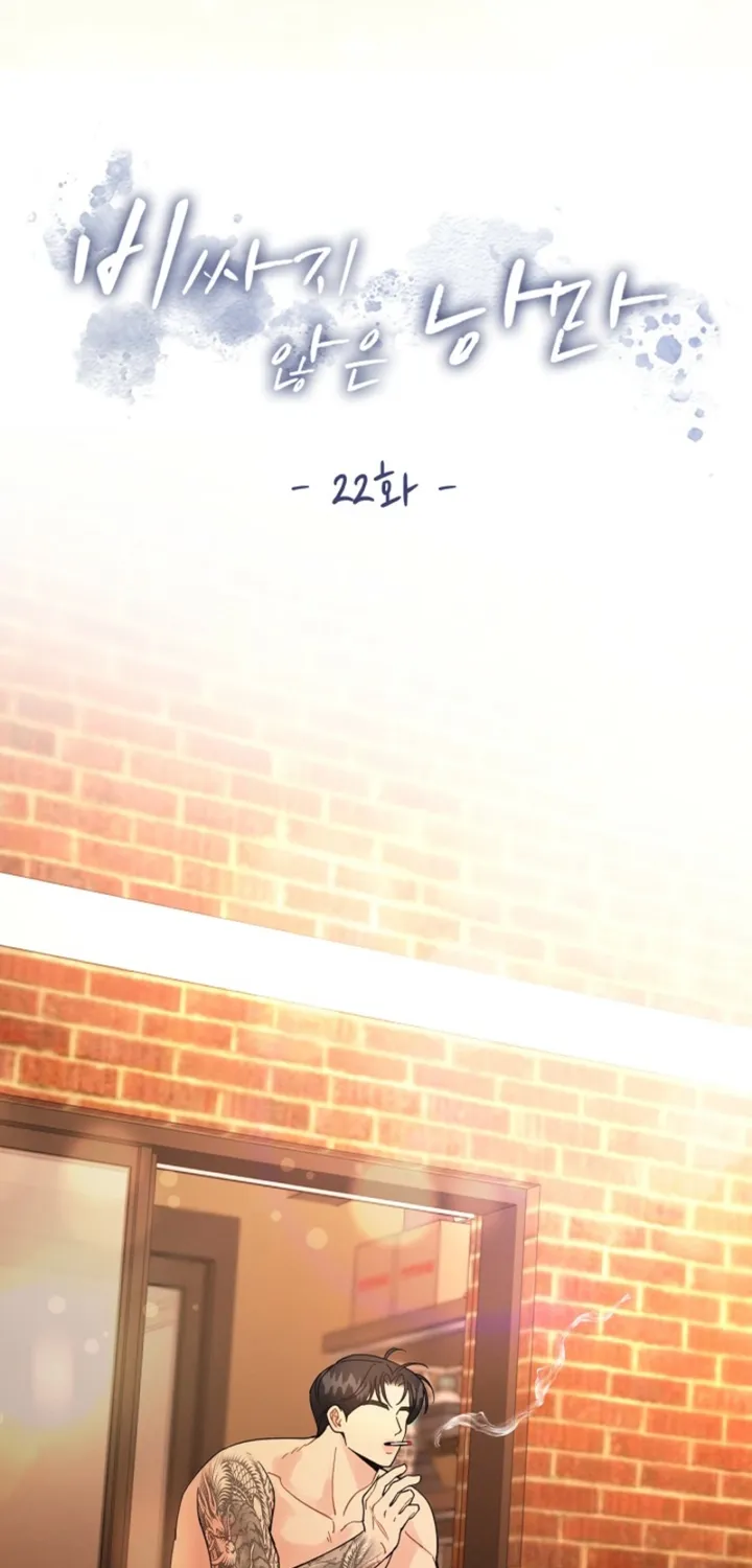 Affordable Romance Chapter 22 - page 19