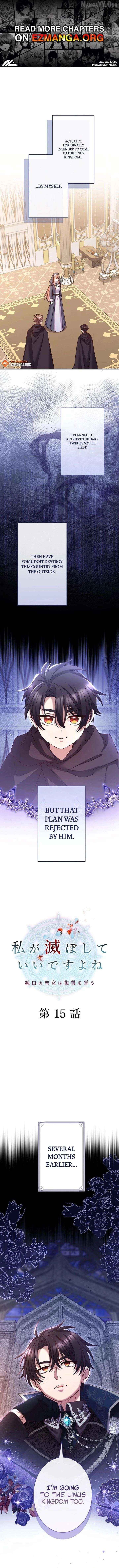 You Don't Mind If I Destroy This Kingdom, Right? The Pure White Saintess Vows Revenge Chapter 15 - page 1