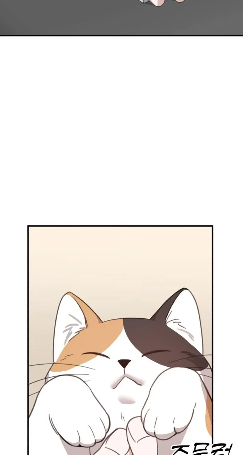 Love Is Sweet, Living Together Is Spicy Chapter 22 - page 76