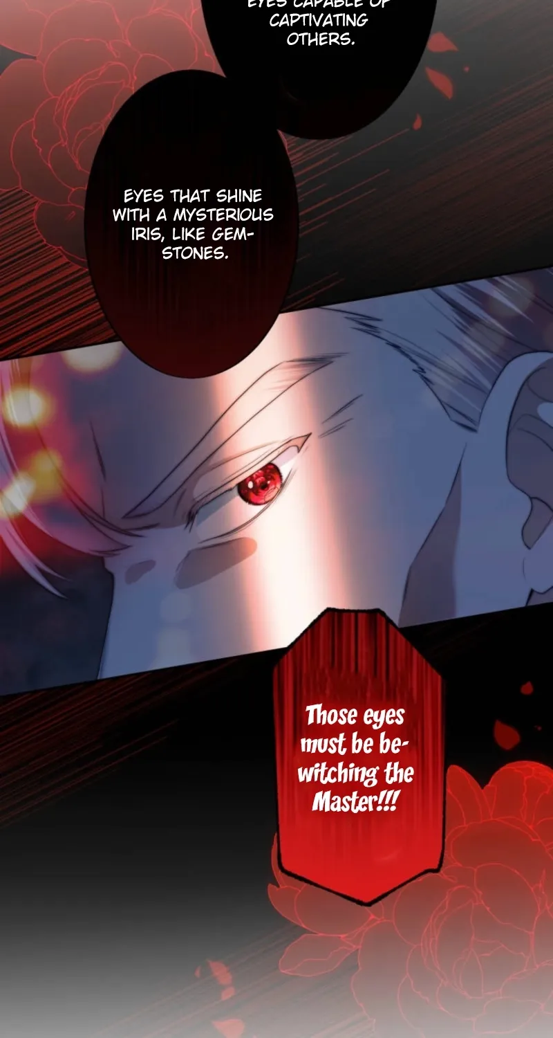 A New Husband, Please! The Forgotten Wife Who Barely Appeared in the Original Story Fights for a Happy Ending. Chapter 21 - page 81