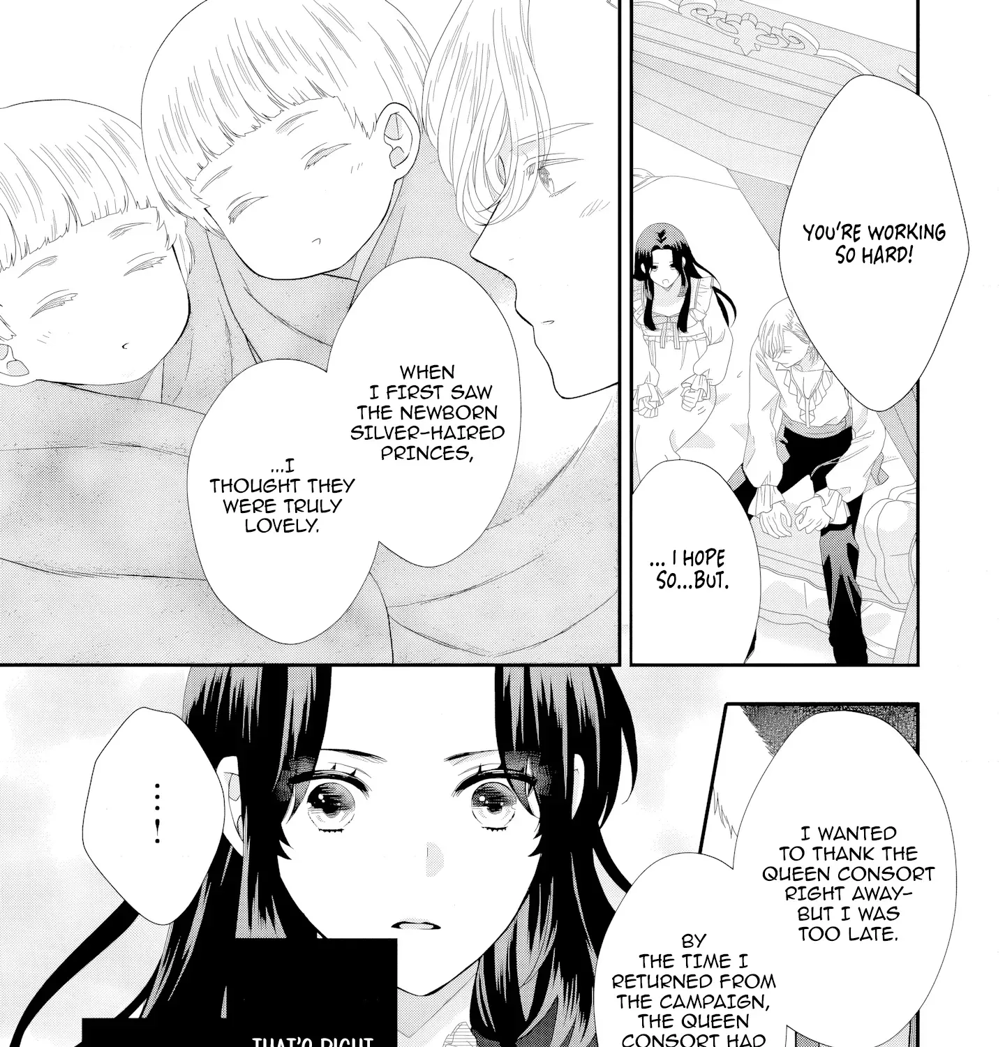 Villainess Stepmother of Twin Princes Who Just Loves Her Cute Boys. Chapter 7 - page 45