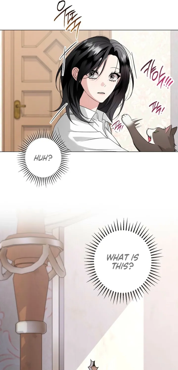 Solstice - Manhwa Chapter 23 - page 41