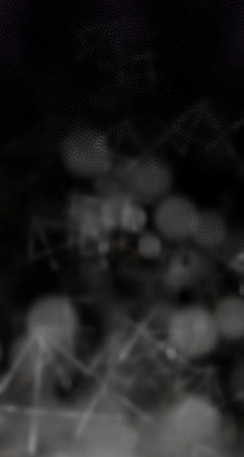 The Ash-Covered Child Is the Princess of Light Chapter 19 - page 44