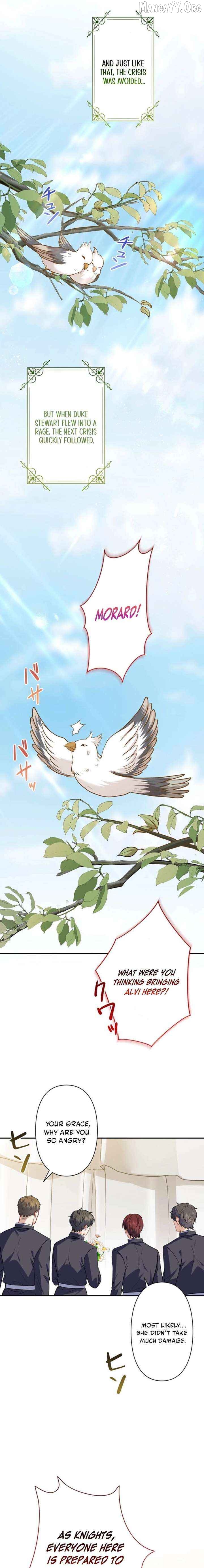 Abandoned, Is It Really Okay to Be Loved This Much? Chapter 22 - page 17