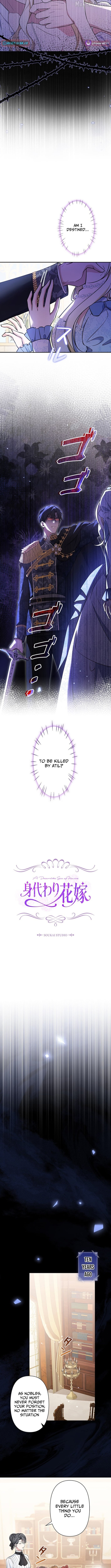 The Enemy King's Substitute Bride Chapter 24 - page 2