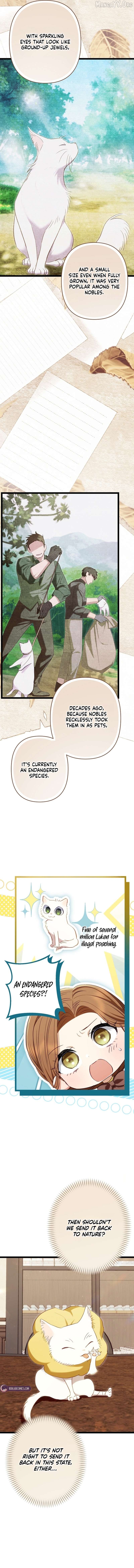 The Rebel's Quack Doctor Chapter 26 - page 3
