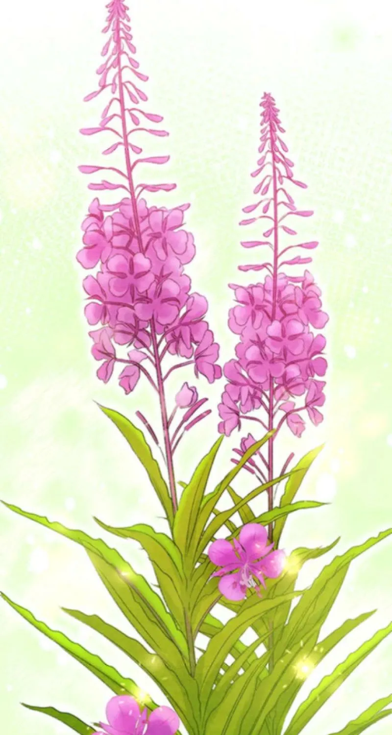 Nisemono Ouhi, Ai o Shiru Chapter 14 - page 40