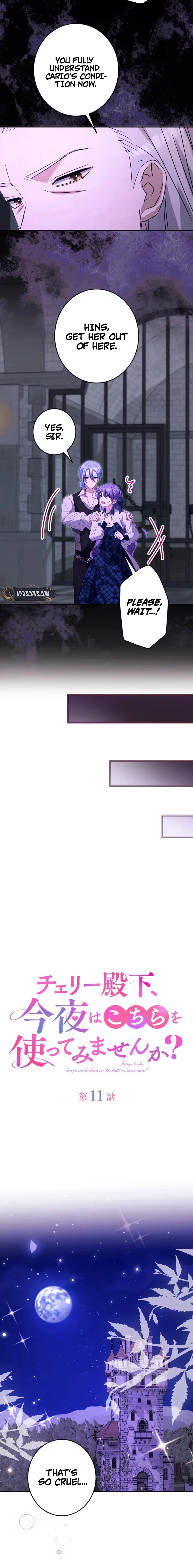 Your Highness, Won't You Try This Tonight? Chapter 11 - page 5