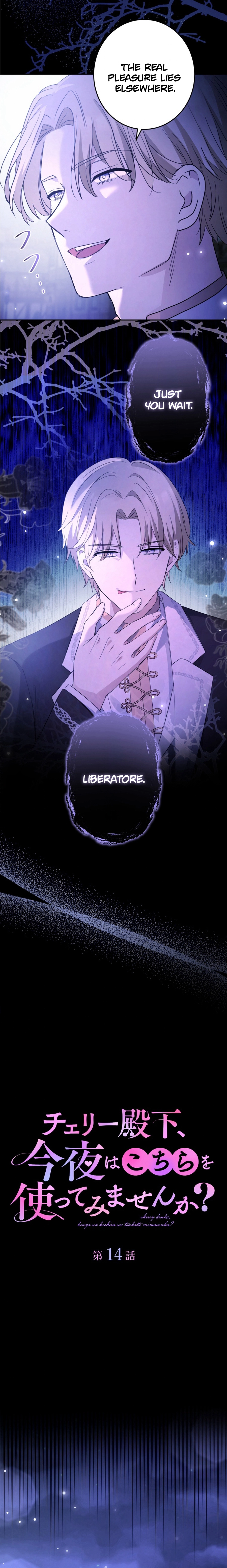 Your Highness, Won't You Try This Tonight? Chapter 14 - page 1