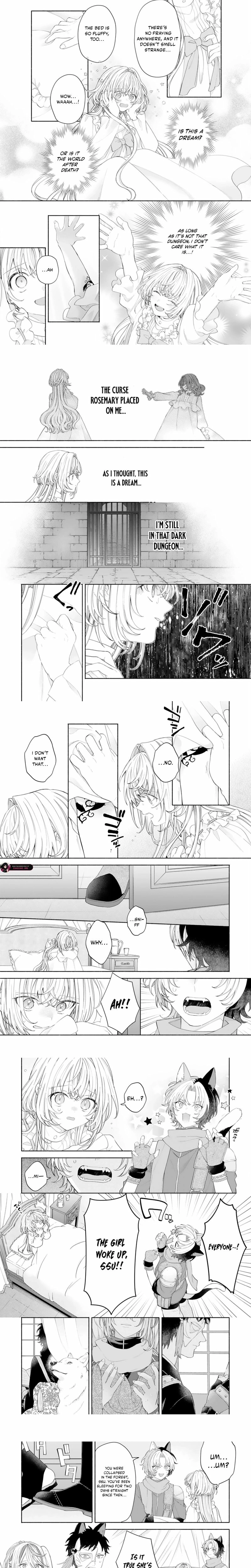The Abandoned Little Girl Was Actually the Strongest Saint Picked Up by a Fluffy Family and Pampered Chapter 2.1 - page 2