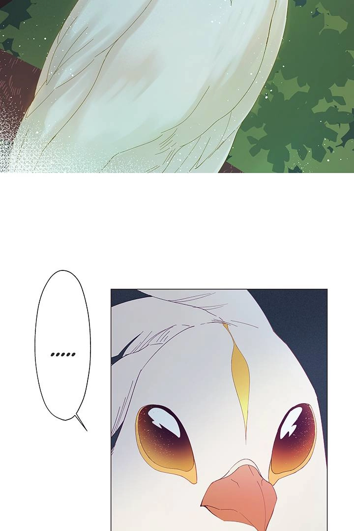 The Devil Knows Your Name Chapter 2 - page 44