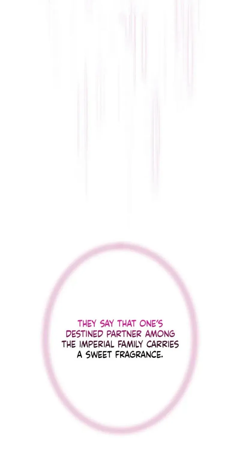 Tonight, I will let myself be consumed by the prince's possessive love Chapter 17 - page 56