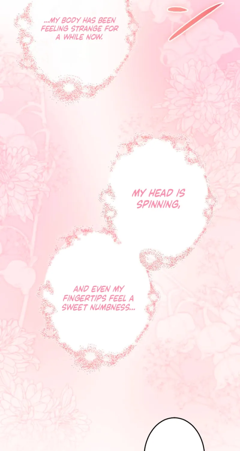 Tonight, I will let myself be consumed by the prince's possessive love Chapter 15 - page 17