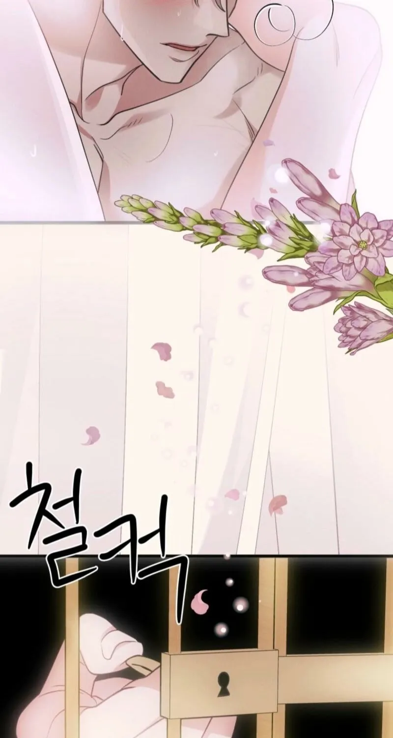 Gyeongseong Lingerie Dressing Room Chapter 11 - page 19