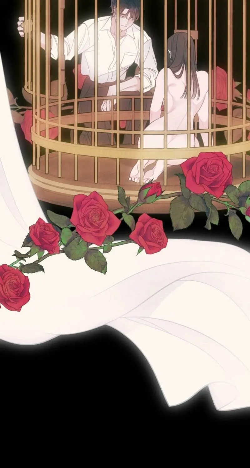 Gyeongseong Lingerie Dressing Room Chapter 11 - page 21