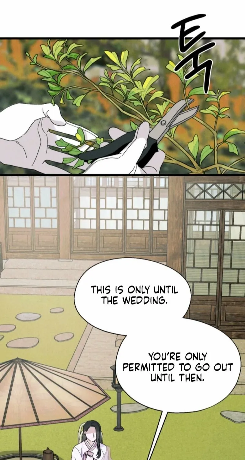 Gyeongseong Lingerie Dressing Room Chapter 5 - page 45
