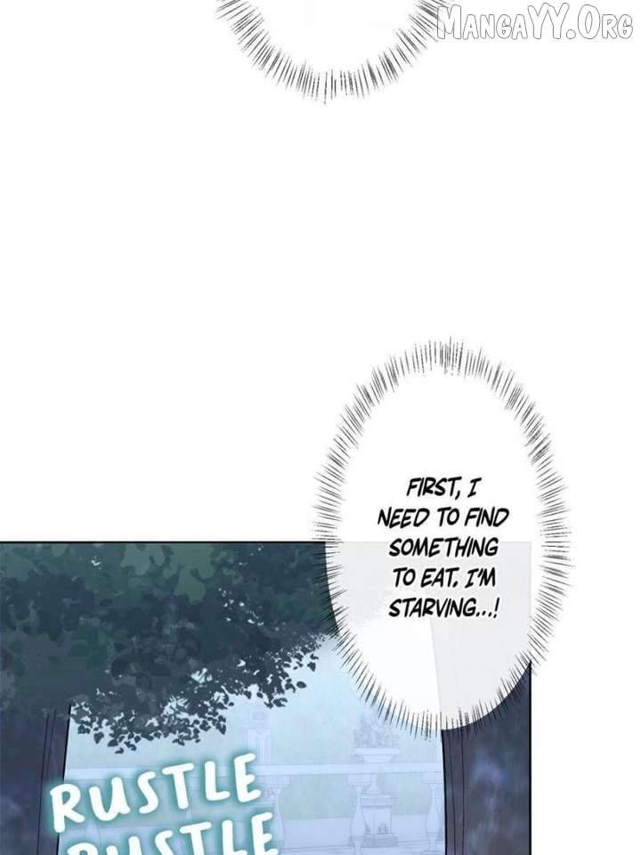 The Duke’s Masked Wife Chapter 6 - page 2