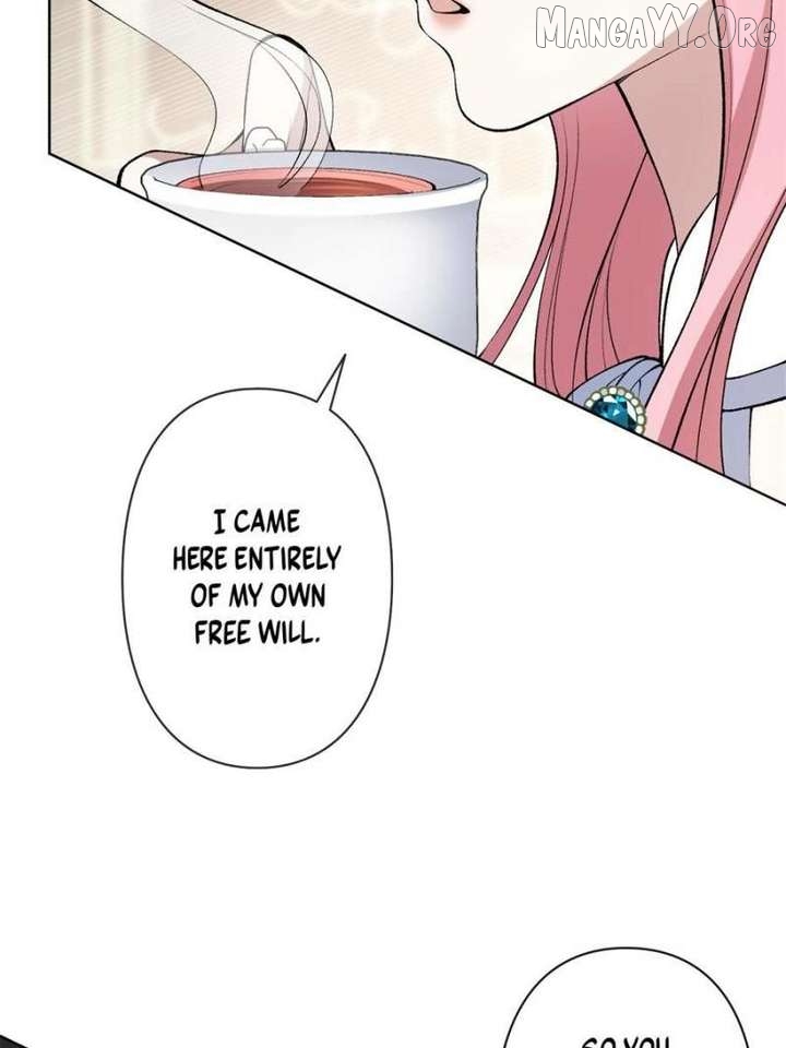 The Duke’s Masked Wife Chapter 11 - page 29