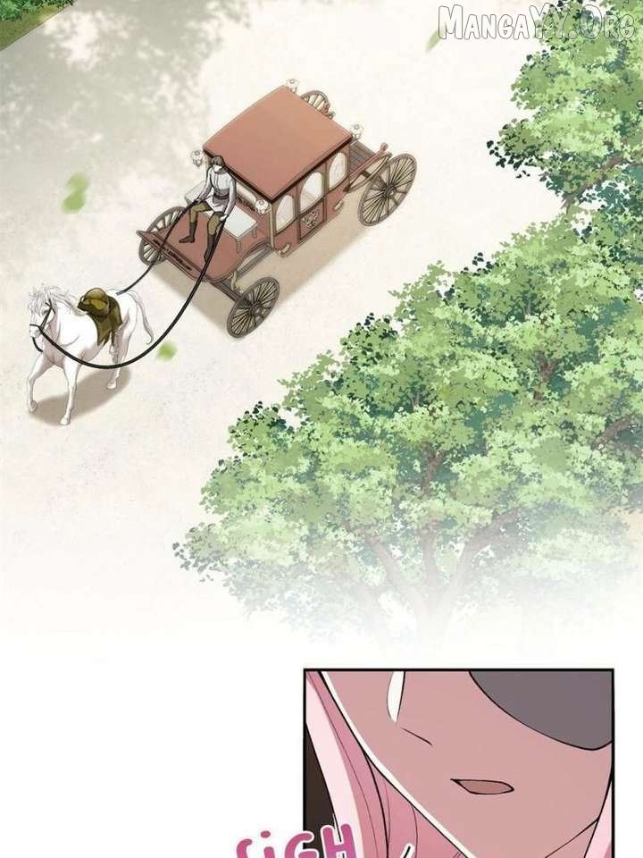 The Duke’s Masked Wife Chapter 16 - page 30