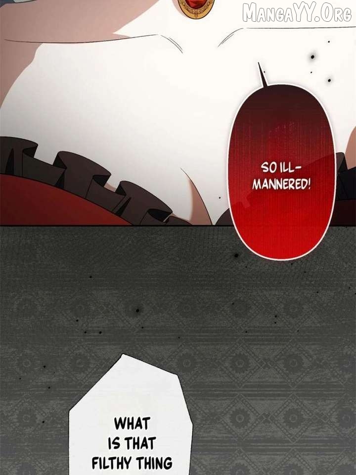 The Duke’s Masked Wife Chapter 18 - page 27