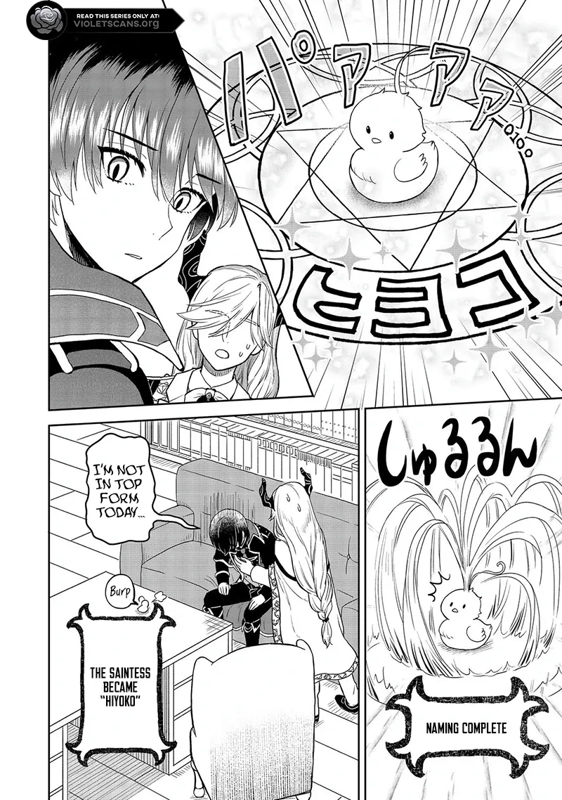 Seijo Dakedo Yami Ochi Shitara Hiyoko ni Narimashita! Chapter 1.2 - page 2
