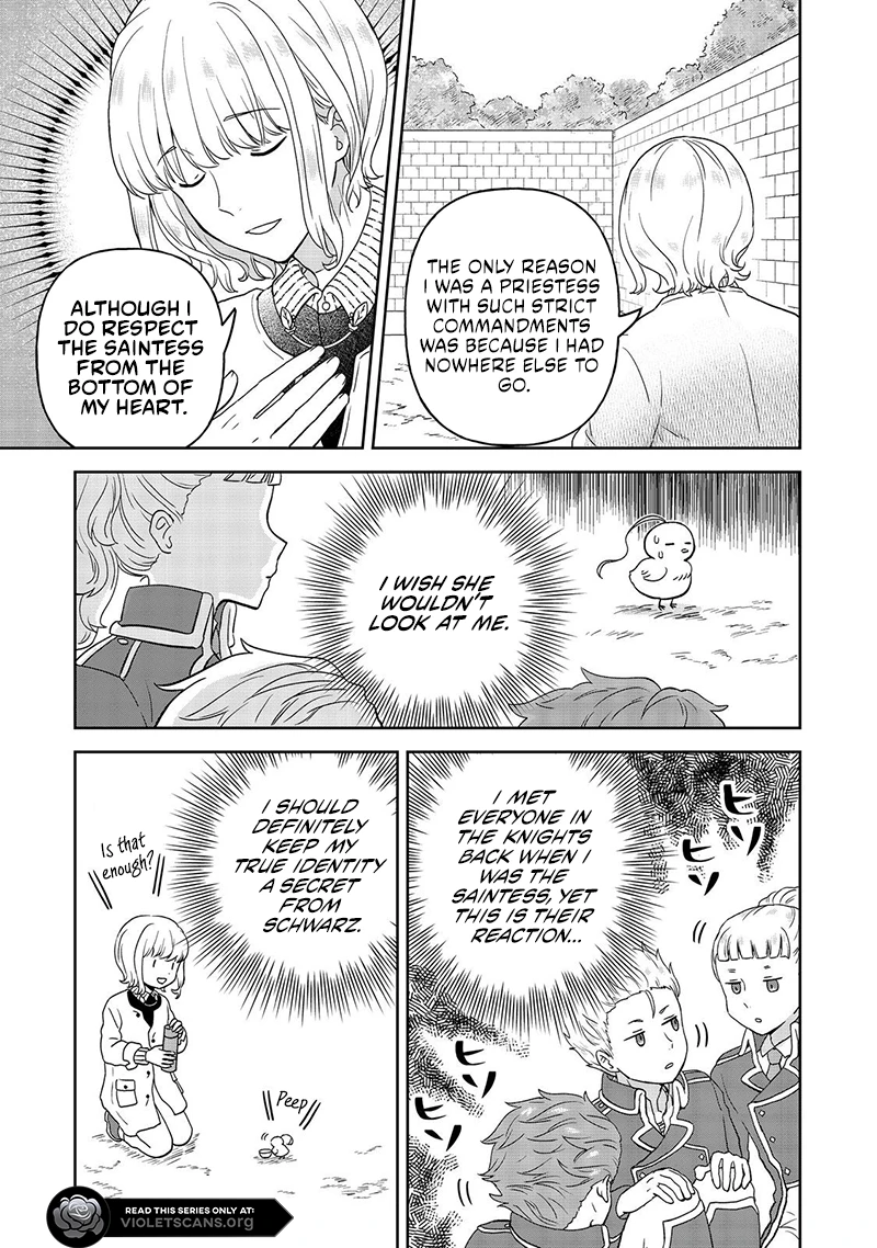 Seijo Dakedo Yami Ochi Shitara Hiyoko ni Narimashita! Chapter 10.1 - page 7