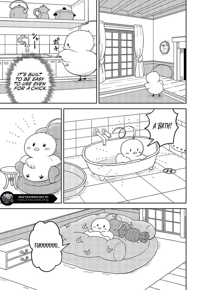 Seijo Dakedo Yami Ochi Shitara Hiyoko ni Narimashita! Chapter 10.2 - page 8
